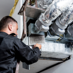 Projekt bez nazwy (26)